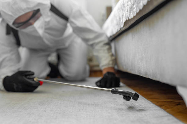 Professional Bed Bug Control technician working in North Manchester, IN