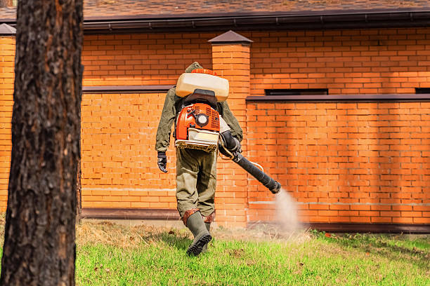 Trusted Cockroach Control service in North Manchester, IN - Nex Pest Control